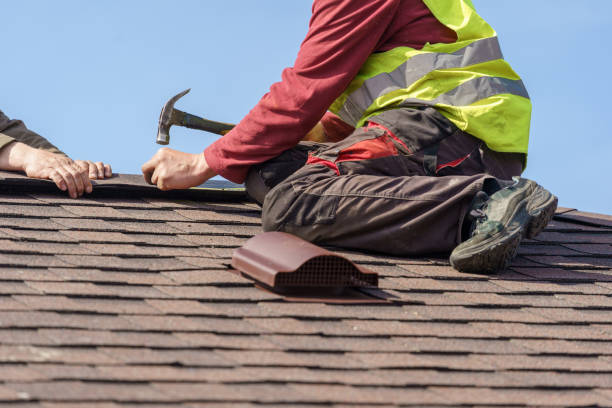 Best Roof Gutter Cleaning  in Moss Point, MS