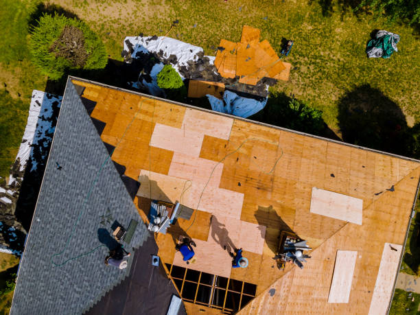 Best Gutter Installation and Roofing  in Moss Point, MS