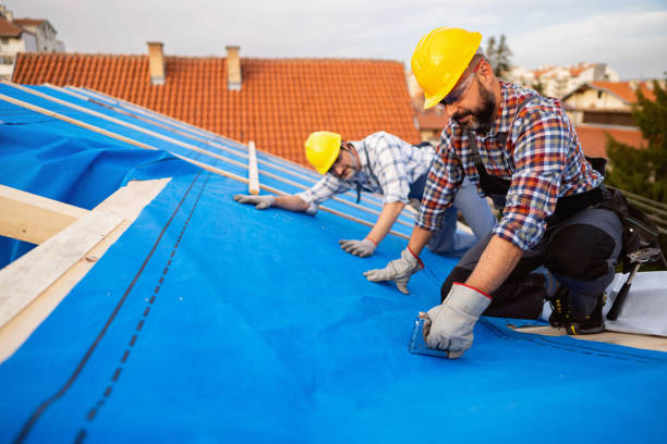 Best Roof Leak Repair  in Moss Point, MS