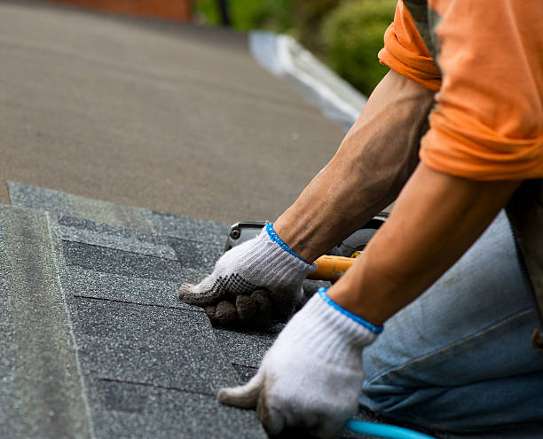 Best Roof Repair Services  in Moss Point, MS